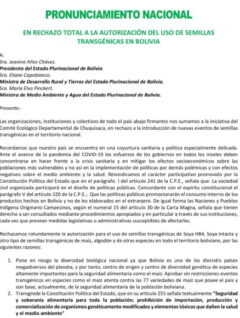 Pronunciamiento nacional en rechazo total a la autorización del uso de semillas trasngénicas en Bolivia (Mayo,2020))