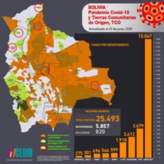 Mapa casos positivos de coronavirus y Tierras Comunitarias de Origen, TCOs (19.6.20)