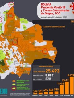 Mapa casos positivos de coronavirus y Tierras Comunitarias de Origen, TCOs (19.6.20)