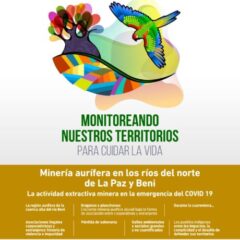 Monitoreando nuestros territorios para cuidar la vida – Boletín CONTIOCAP #4: La actividad extractiva minera en la emergencia del COVID 19