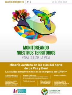 Boletín CONTIOCAP 4 | Minería aurífera en los ríos del norte de La Paz y Beni