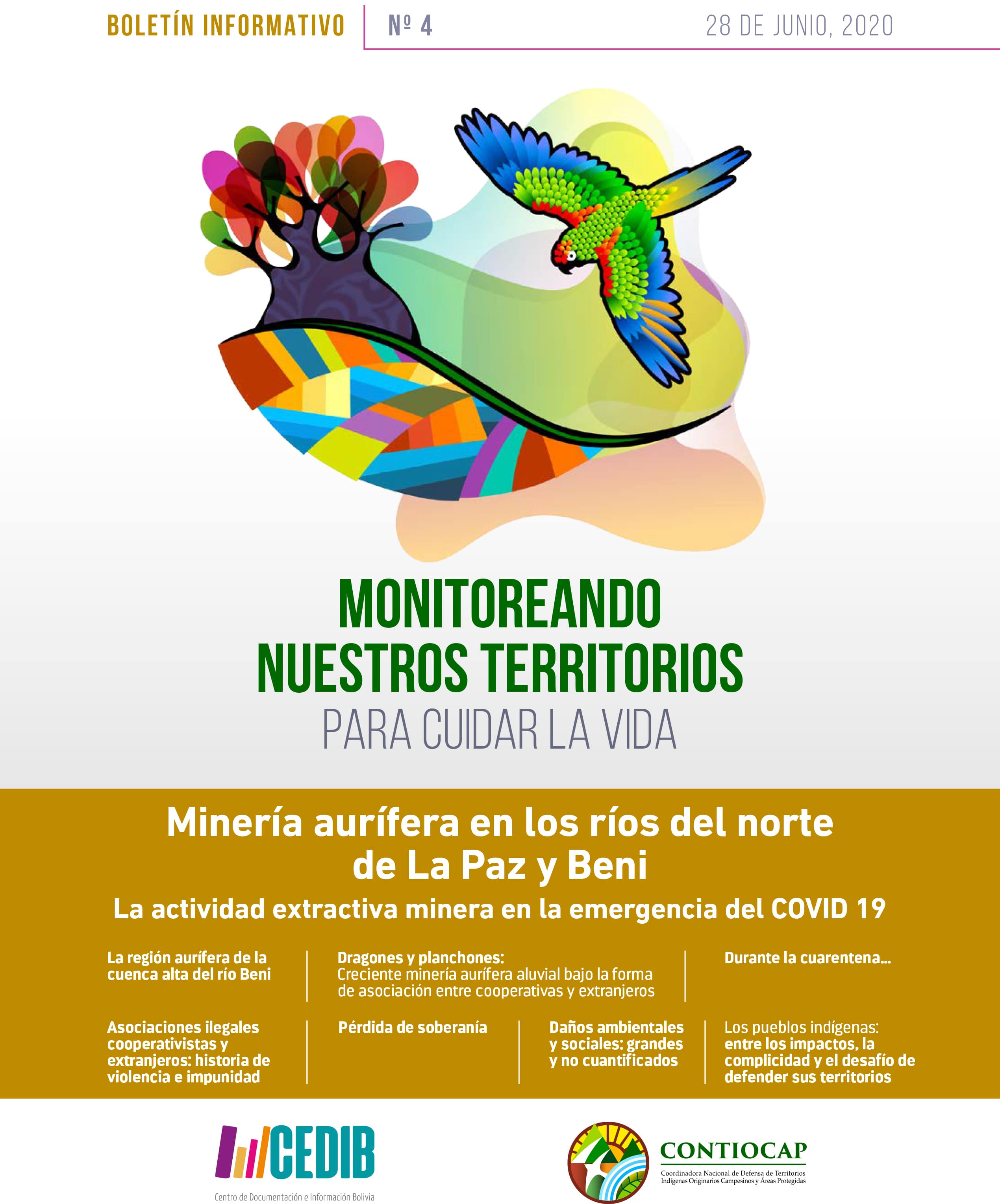 Boletín CONTIOCAP 4 | Minería aurífera en los ríos del norte de La Paz y Beni