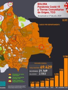 Evolución de mapa casos positivos de coronavirus y Tierras Comunitarias de Origen, TCOs (2020)