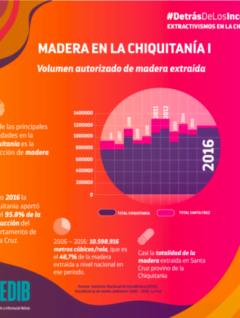 Madera en la Chiquitanía I