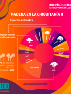 Madera en la Chiquitanía II