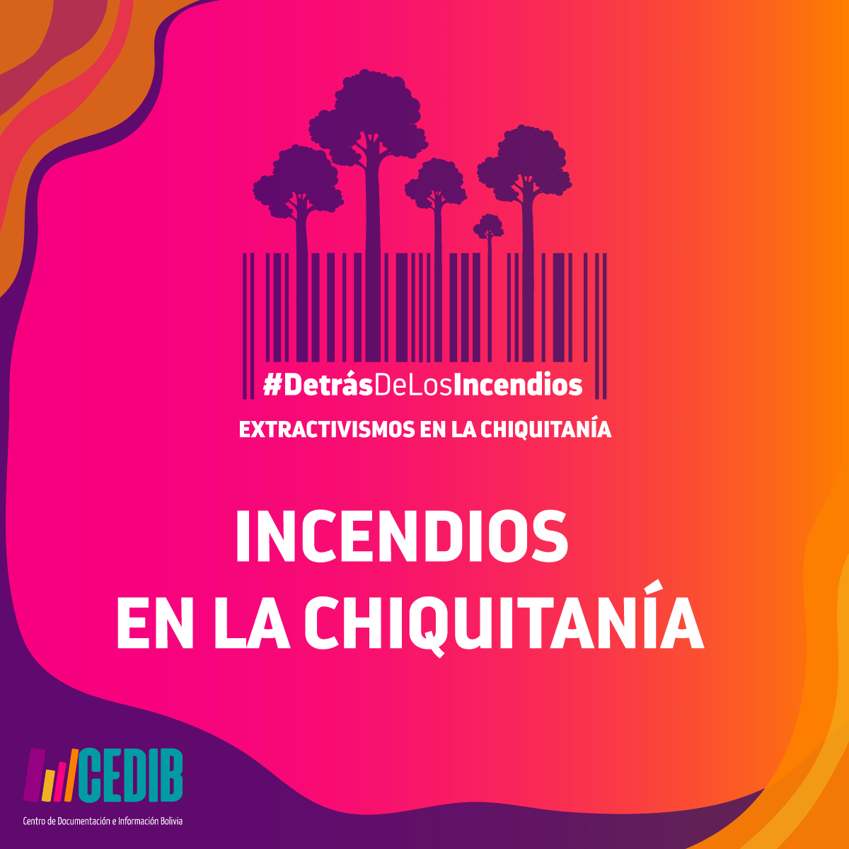 Detrás de los incendios: Lecciones por aprender