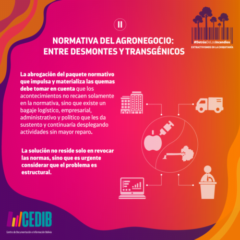 Normativa del Agronegocio: entre desmontes y trasngénicos I