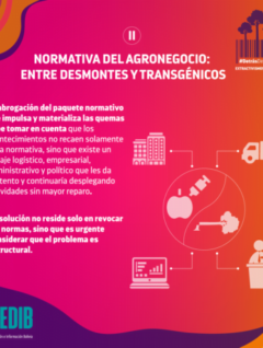 Normativa del Agronegocio: entre desmontes y trasngénicos I