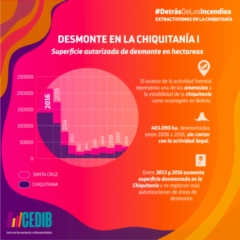 Desmonte en la Chiquitanía I