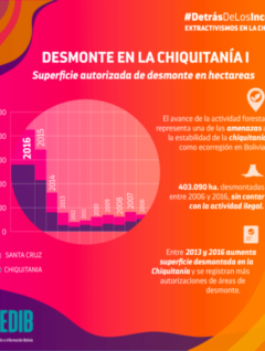 Desmonte en la Chiquitanía I