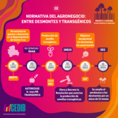 Normaiva del agronegocio: entre desmontes y trasngénicos II