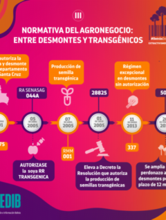 Normaiva del agronegocio: entre desmontes y trasngénicos II