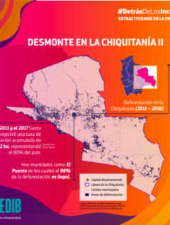 Detrás de los incendios: Madera y deforestación en la Chiquitanía