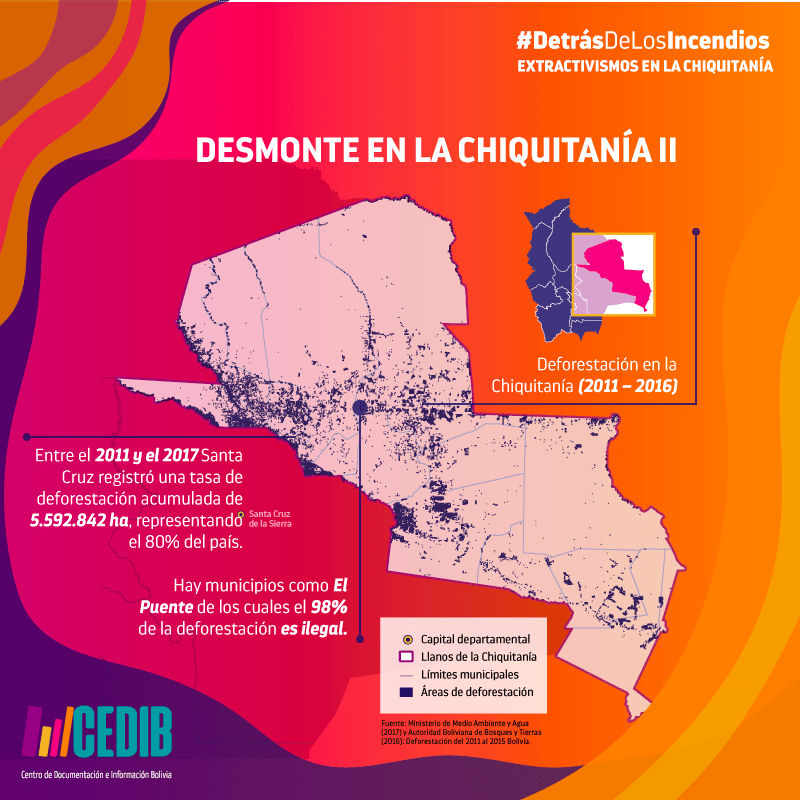 Detrás de los incendios: Madera y deforestación en la Chiquitanía