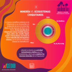 Minería vs. ecosistemas chiquitanos I