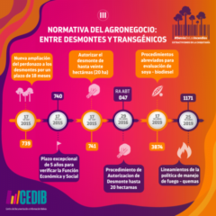 Normativa del agronegocio: entre desmontes y trasngénicos III