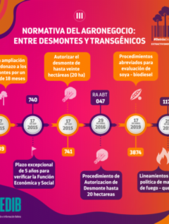 Normativa del agronegocio: entre desmontes y trasngénicos III