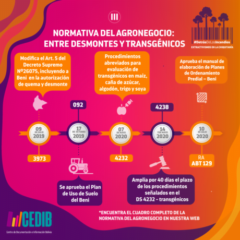 Normativa del agronegocio: entre desmontes y trasngénicos IV