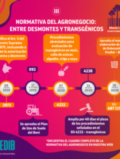Normativa del agronegocio: entre desmontes y trasngénicos IV