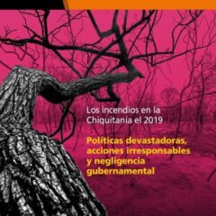 Dossier #1: Los incendios en la Chiquitania 2019. Políticas devastadoras, acciones irresponsables y negligencia gubernamental