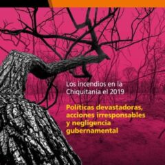 Los incendios en la Chiquitania 2019 políticas devastadoras, acciones irresponsables y negligencia gubernamental | Dossier