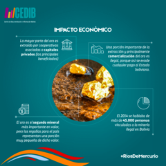 Ríos de mercurio: Impacto económico de la minería de oro