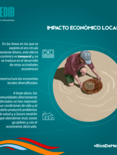 Ríos de mercurio: Impacto económico local de la minería de oro