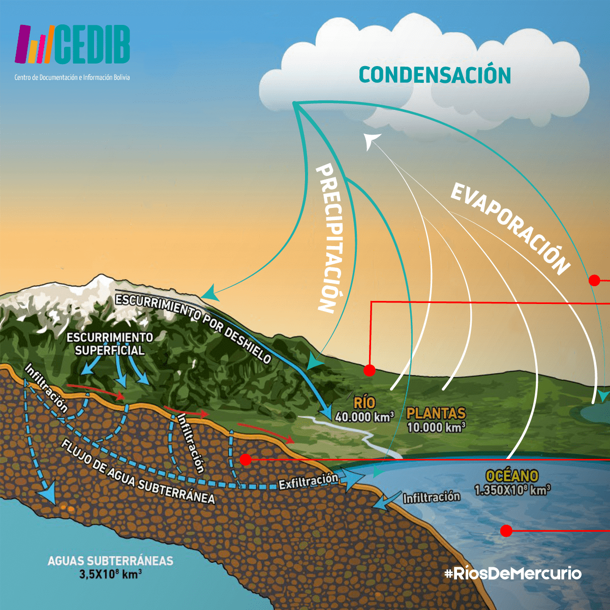 Ríos de mercurio: ¿Cómo llega el mercurio a nuestro organismo?