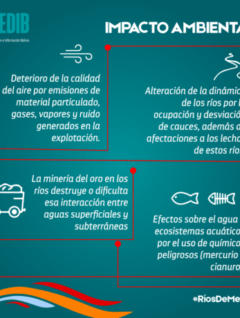 Ríos de mercurio: Impacto ambiental