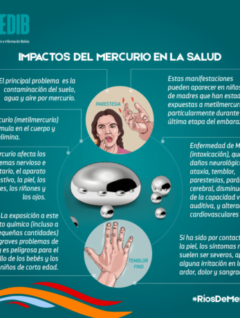 Ríos de mercurio: Impactos del mercurio en la salud