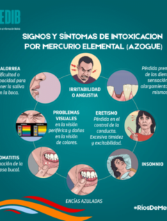 Ríos de mercurio: Signos de intoxicación por mercurio elemental