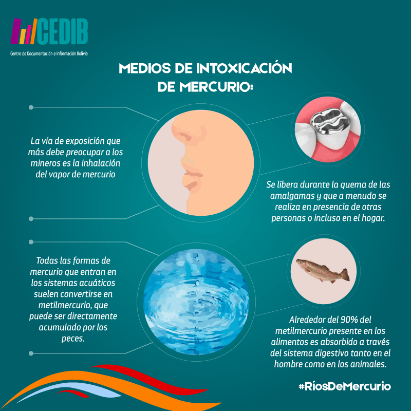 Ríos de mercurio: Medios de intoxicación por mercurio