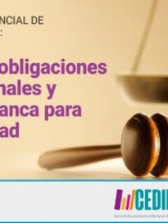 Decreto Presidencial de Amnistía Bolivia: Incumple obligaciones internacionales y es carta blanca para la impunidad