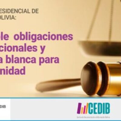 Análisis Decreto Amnistia en Bolivia