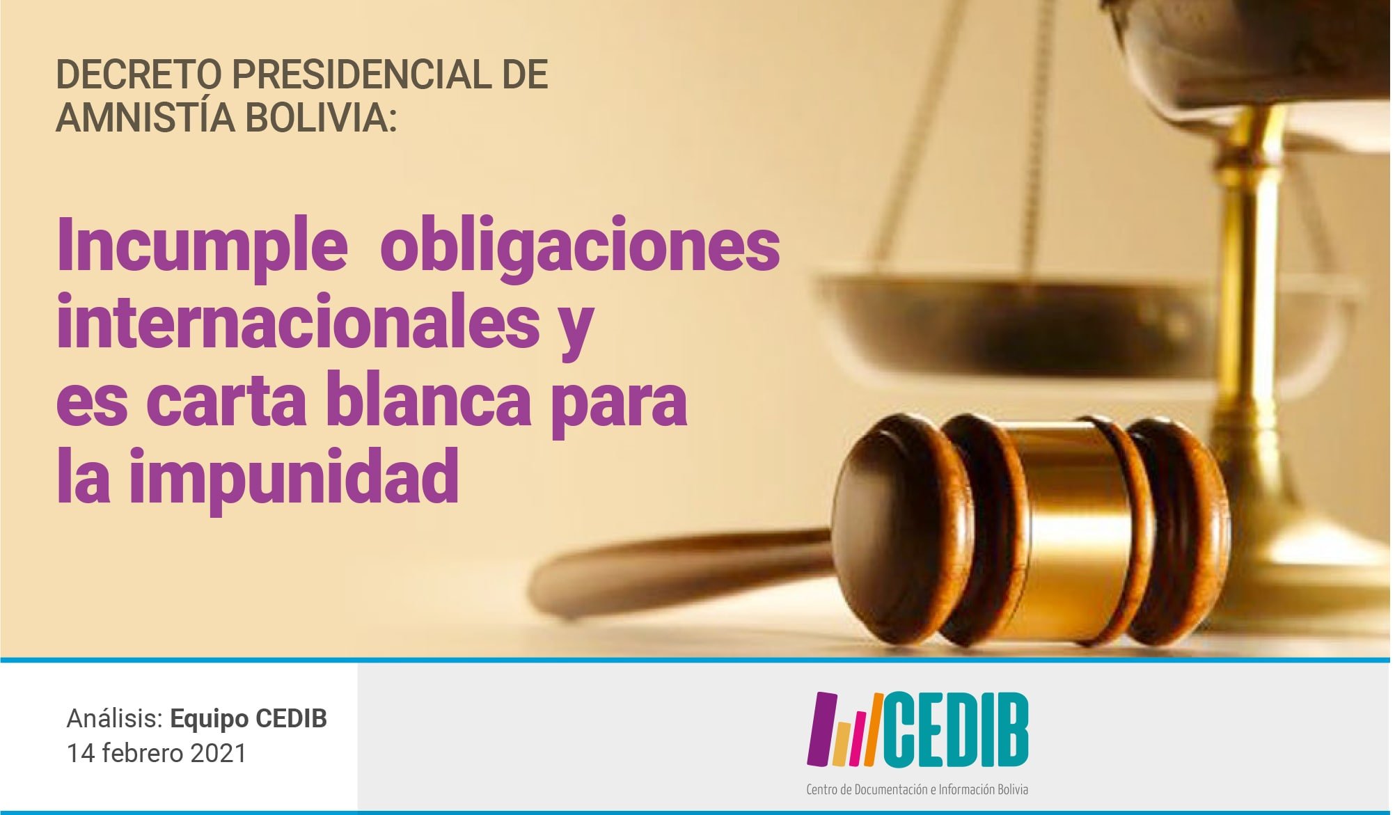 Decreto Presidencial de Amnistía Bolivia: Incumple obligaciones internacionales y es carta blanca para la impunidad