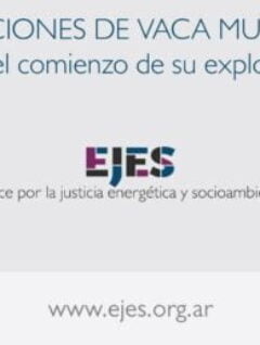 Lecciones de Vaca Muenta (16.2.21)