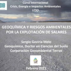 Geoquímica y riesgos ambientales por la explotación de salares (01.02.21)