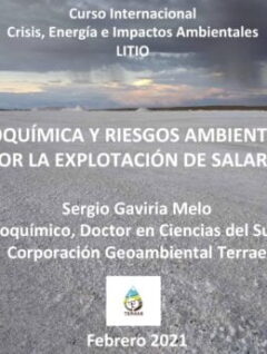 Geoquímica y riesgos ambientales por la explotación de salares (01.02.21)
