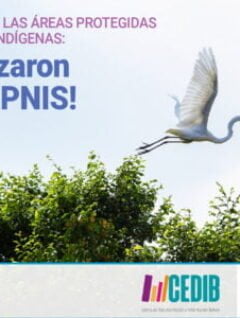 Guerra contra las áreas protegidas y territorios indígenas: comenzaron por el TIPNIS