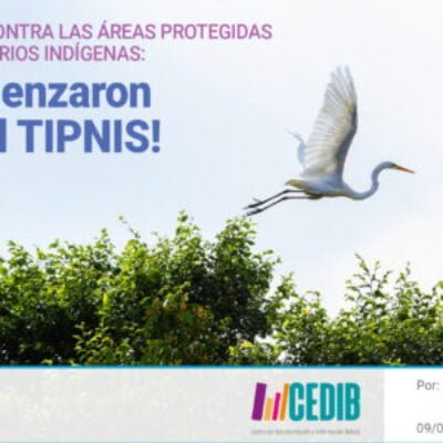 Nuevo ataque al Tipnis y las áreas protegidas de Bolivia