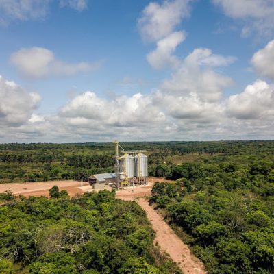 Una nueva polémica ha surgido en Bolivia por la aprobación de un decreto que facilita el uso de semillas transgénicas. Foto: Archivo Mongabay.