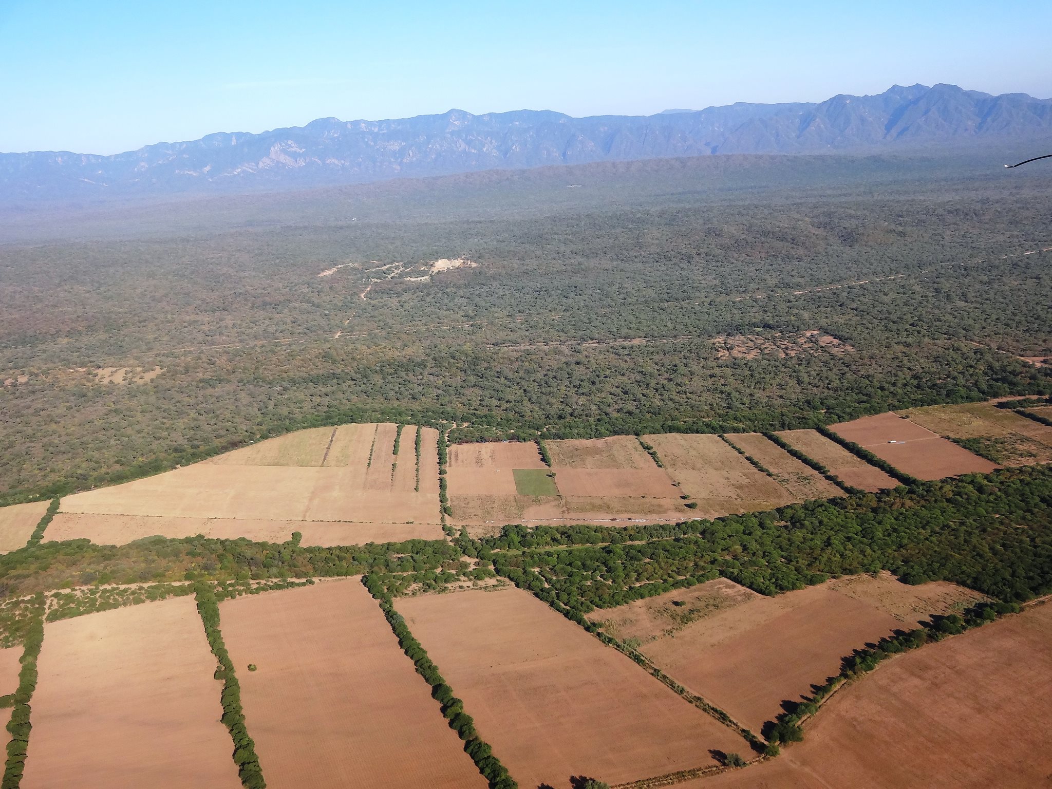 La expansión de la agricultura se promueve desde todos los partidos políticos. Foto: Archivo Mongabay Latam.