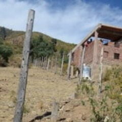 Pronunciamiento CONAMAQ: «Declara enemigos de la madre tierra y la biodiversidad a todo los parlamentarios»