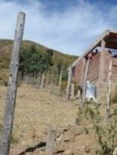 Pronunciamiento CONAMAQ: «Declara enemigos de la madre tierra y la biodiversidad a todo los parlamentarios»