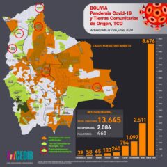 Mapa casos positivos de coronavirus y Tierras Comunitarias de Origen, TCOs (7.6.20)