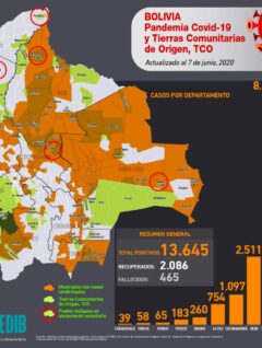 Mapa casos positivos de coronavirus y Tierras Comunitarias de Origen, TCOs (7.6.20)