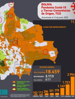 Mapa casos positivos de coronavirus y Tierras Comunitarias de Origen, TCOs (14.6.20)