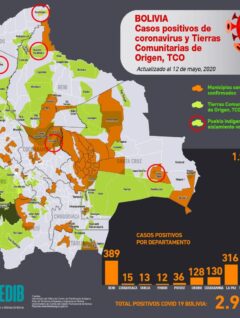 Mapa casos positivos de coronavirus y Tierras Comunitarias de Origen, TCOs (12.5.20)