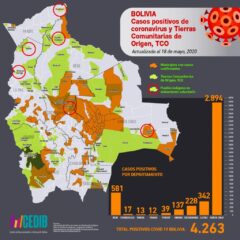 Mapa casos positivos de coronavirus y Tierras Comunitarias de Origen, TCOs (18.5.20)