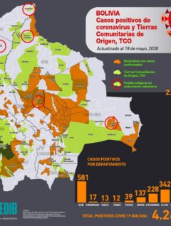 Mapa casos positivos de coronavirus y Tierras Comunitarias de Origen, TCOs (18.5.20)